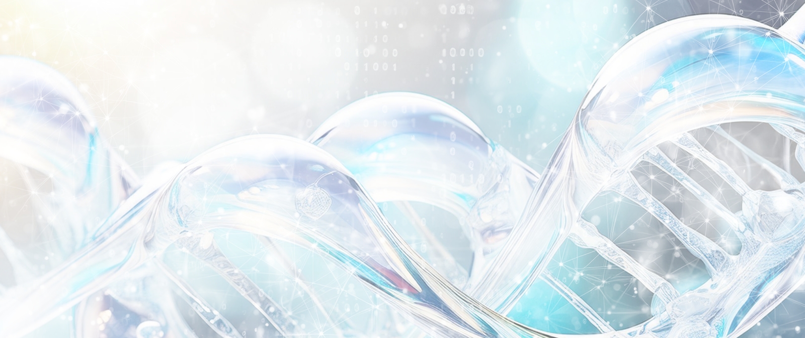 メインビジュアル画像